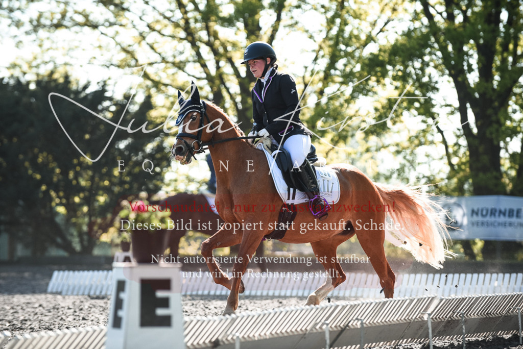 DSC_8444 | Pferde- und Turnierfotografie in Westsachsen. Pferdeportraits, Auftragszeichnungen und intuitive Kunst.