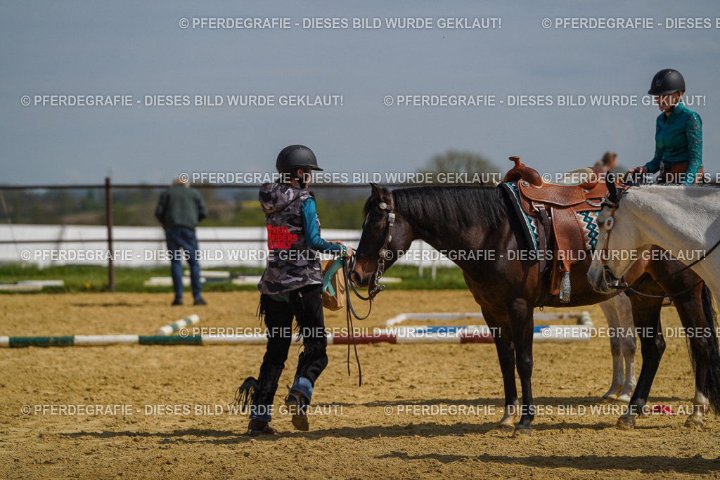 DSC04807 | Pferdegrafie