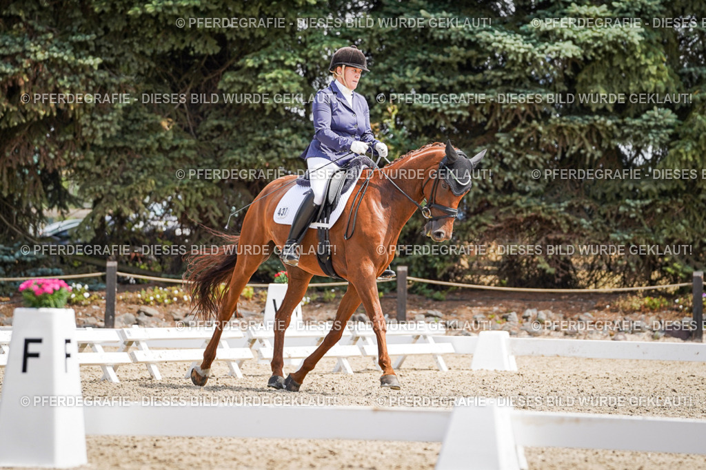 DSC00663 | Pferdegrafie