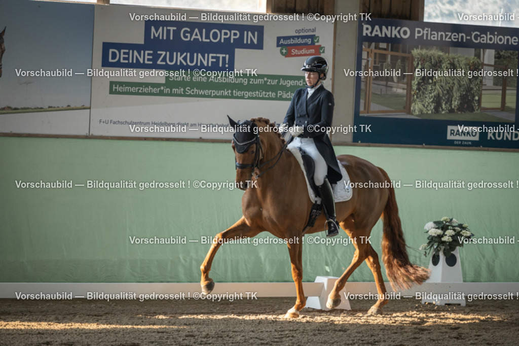 _D5A8069 | Emotionale Pferde- & People-Fotografie rund um Heidelberg, Leimen & Umgebung. Natürliche Fotos von Pferd, Mensch & Familie. Jetzt Termin sichern!