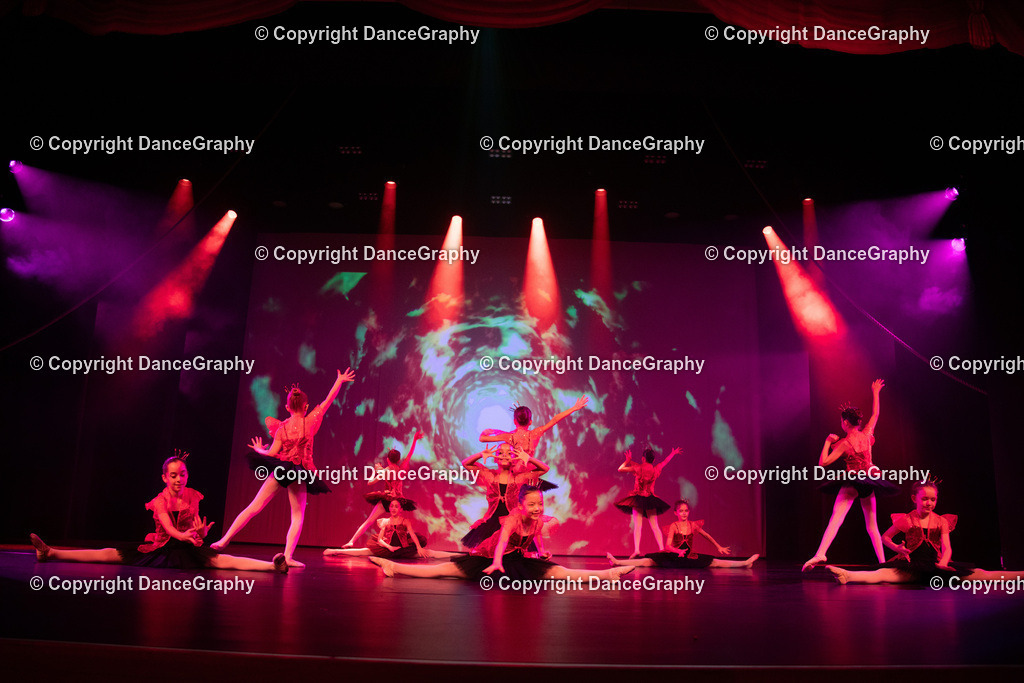 GPHY3245 | DanceGraphy - Realisiert mit Pictrs.com