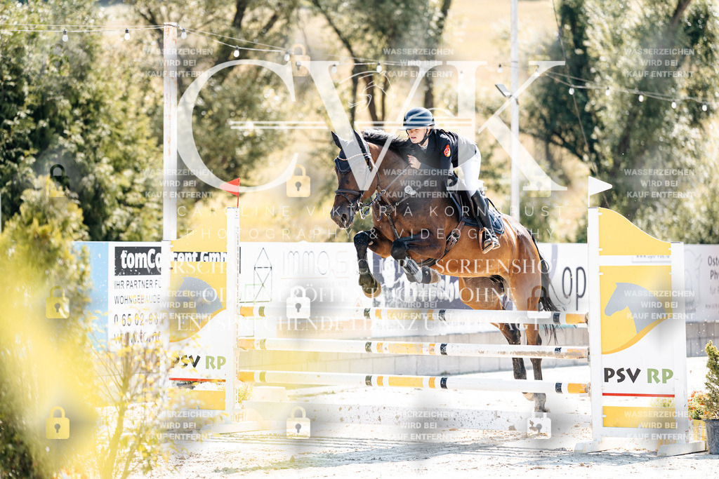 CK908528 | Turnierfotografie Pferdefotografie Trier Rheinland-Pfalz Pferdesport Reitsport Tierfotografie Sportfotografie Pferdevideo Pferdevideografie Equestrianvideography equestrianphotography  - Realisiert mit Pictrs.com