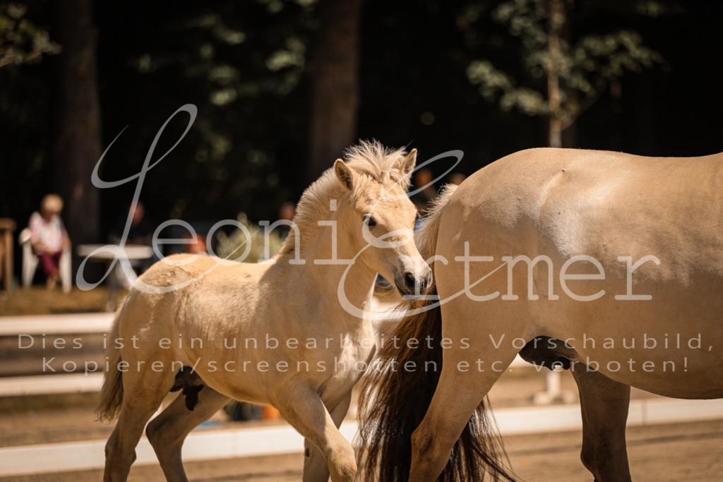 05.DoF00032 | Leoni Ertmer Photography - Realisiert mit Pictrs.com