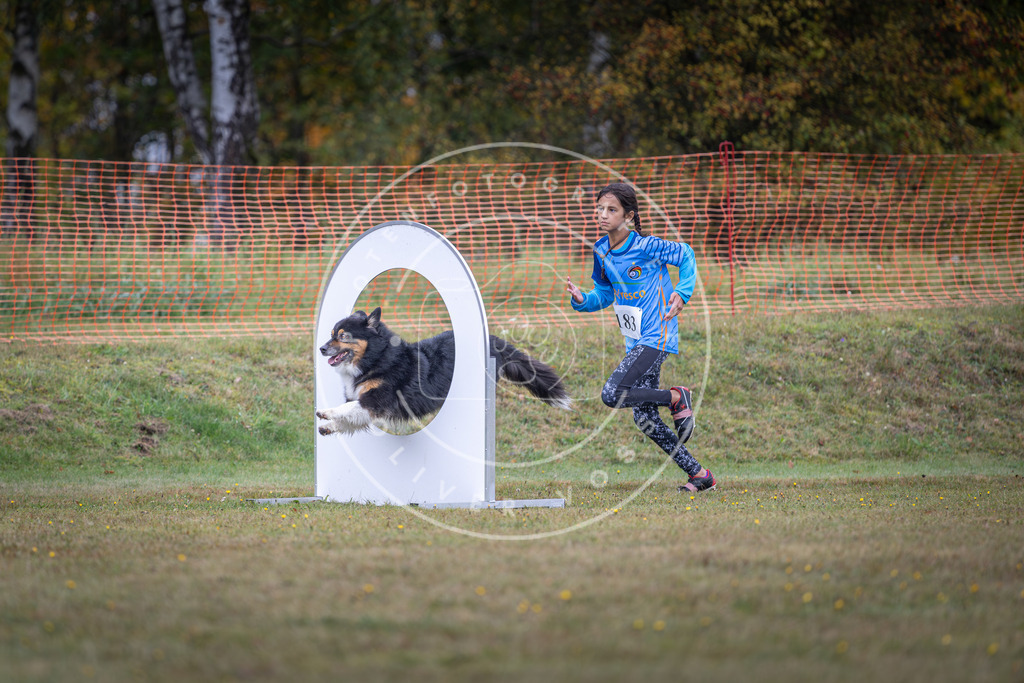Pfotenfotografie_DV3A0371 | Hundefotografie, Tierfotograf, Pfotenfotografie, Fotoshooting Hund, Hunde Portrait, Hundesport, Hundeportraits, Heideshooting, Hunde, Sportfotograf, Hundefotograf, Turnierhundsport, THS,  - Realisiert mit Pictrs.com