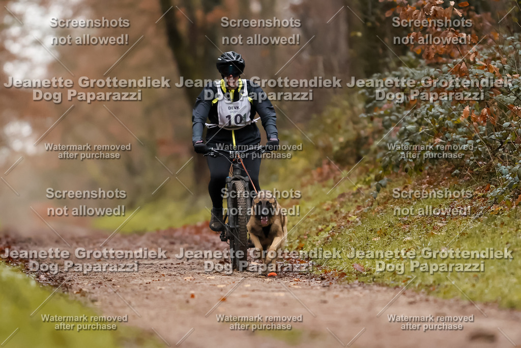 Dog Paparazzi - Speedhunter Mannheim  2025-29 | Dog Paparazzi Jeanette Grottendiek Fotografie & Videografie