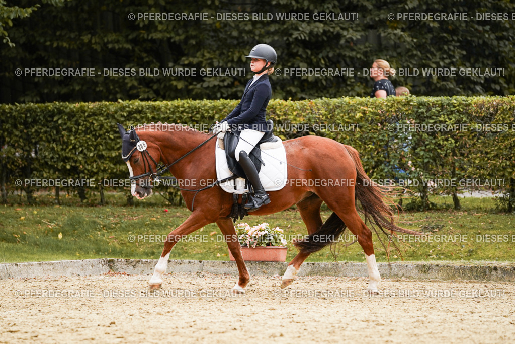 DSC09659 | Pferdegrafie