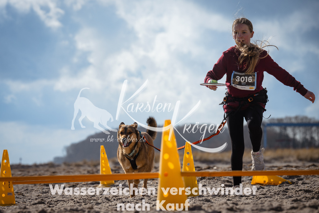 1259_ZZ99817 | kk-dogfotos