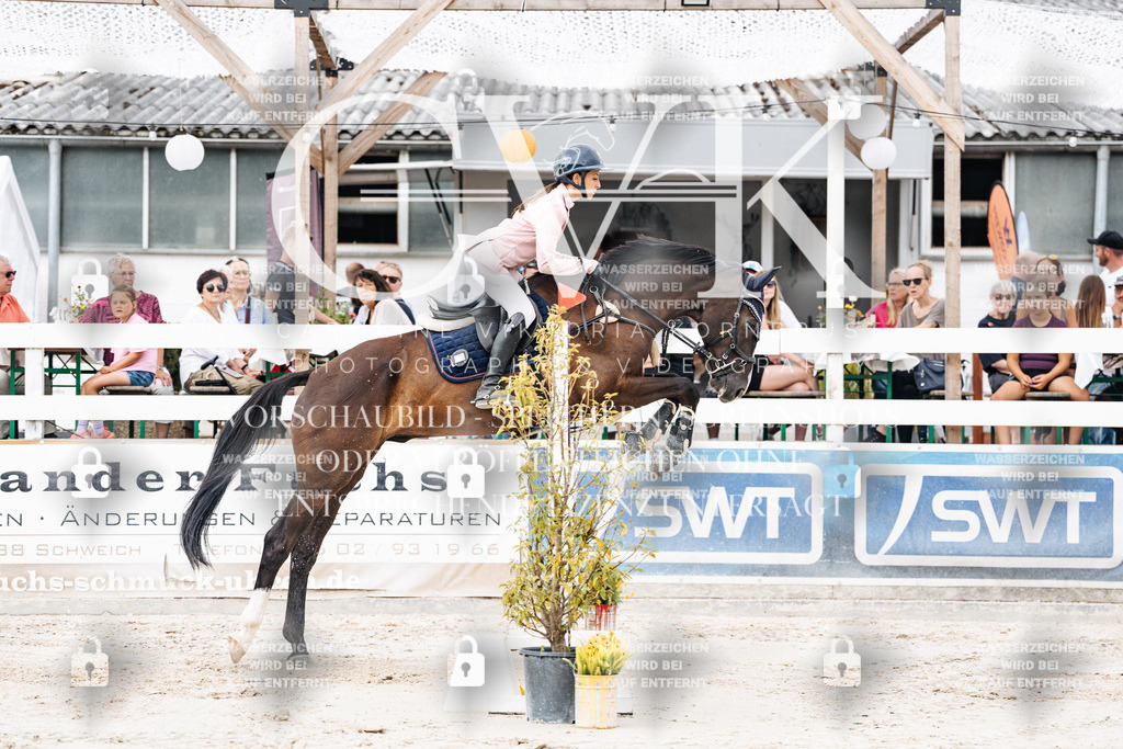 CK906303 | Turnierfotografie Pferdefotografie Trier Rheinland-Pfalz Pferdesport Reitsport Tierfotografie Sportfotografie Pferdevideo Pferdevideografie Equestrianvideography equestrianphotography  - Realisiert mit Pictrs.com