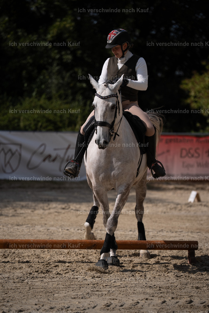 WS_SP_87_Stoibphotography_SO11183 | working equitationturnier fotograf videograf stoibphotography marixx film working equitation deutschland reitsport turnierfotografie eventfotografie equestrian events