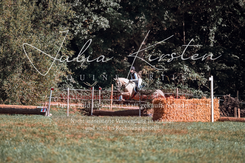 DSC_1125 | Pferde- und Turnierfotografie in Westsachsen. Pferdeportraits, Auftragszeichnungen und intuitive Kunst.