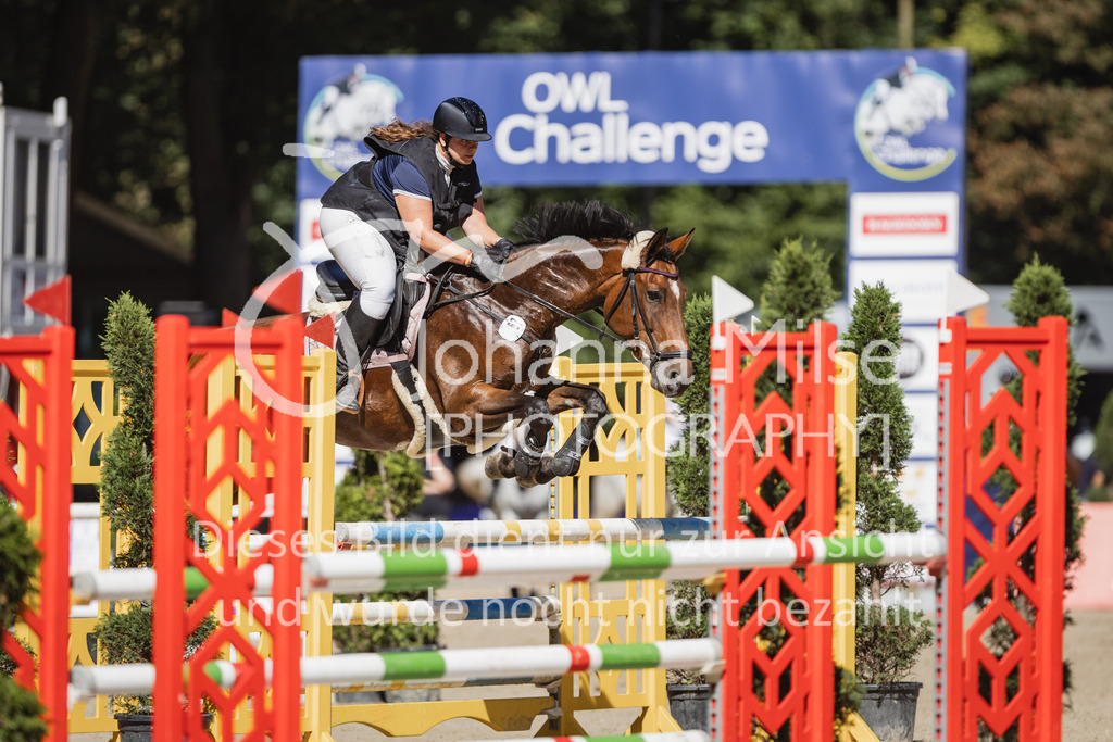 230907_OWLCh_Amateur-S-649 | Deine schönsten Turniermomente als professionelle Fotos! Entdecke hochwertige Pferdesport-Fotografie im Online-Shop. Jetzt Fotos finden & bestellen!