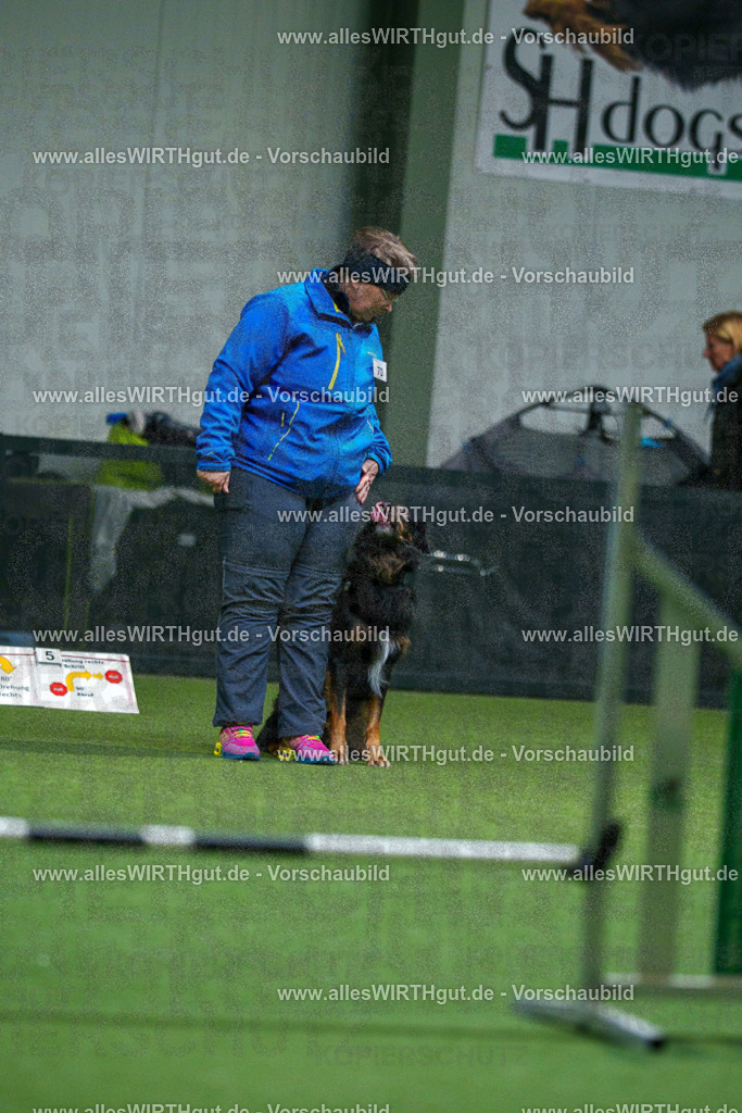 7R503975 | Professionelle Tierfotografie in Mönchengladbach von Daniel Wirth (allesWIRTHgut). Liebevolle & natürliche Bilder von Hunden & Katzen für unvergessliche Erinnerungen.