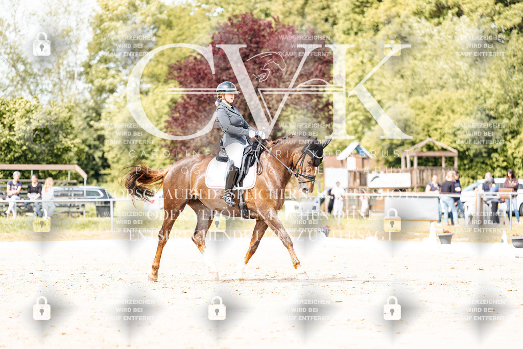CK901317 | Turnierfotografie Pferdefotografie Trier Rheinland-Pfalz Pferdesport Reitsport Tierfotografie Sportfotografie Pferdevideo Pferdevideografie Equestrianvideography equestrianphotography  - Realisiert mit Pictrs.com