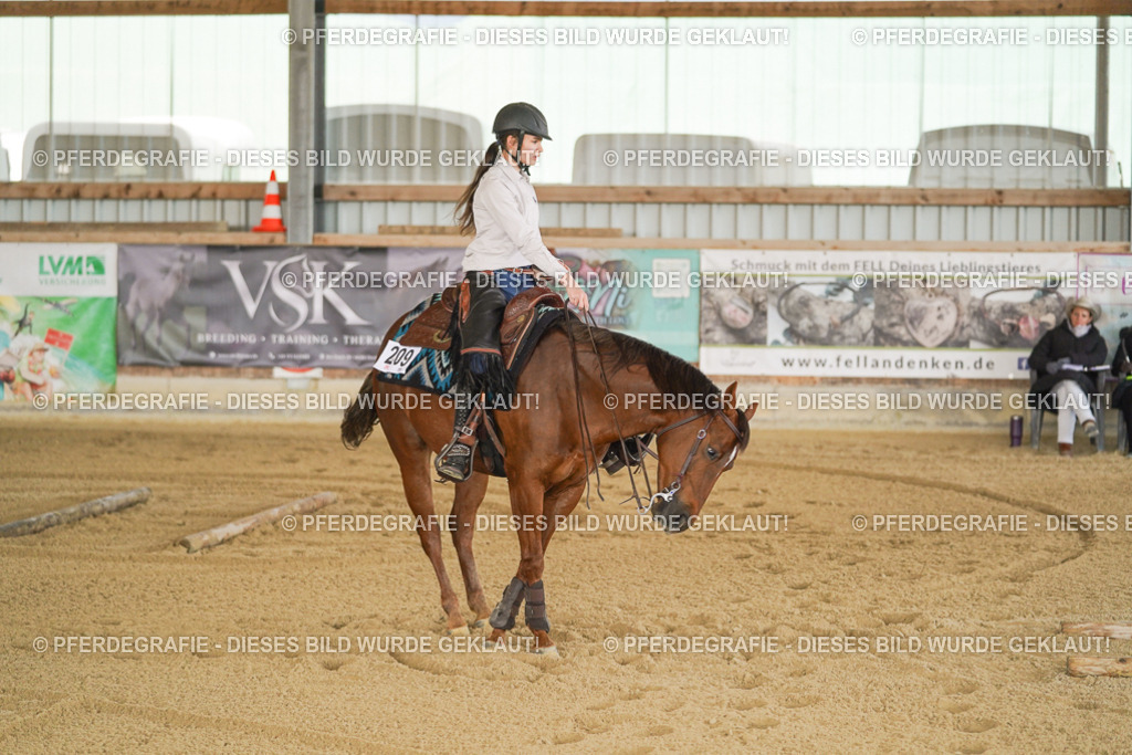 DSC05939 | Pferdegrafie