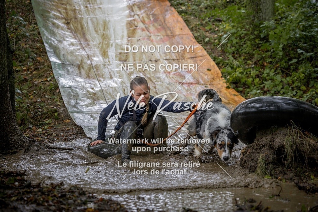 nelerasche_Hunsrück_Sa1430-1500_354-final | nelerasche