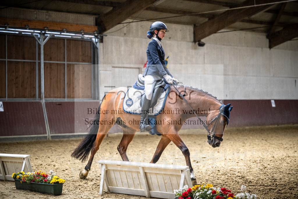DOS_2345 | Reitturnier Lüdinghausen - Realisiert mit Pictrs.com
