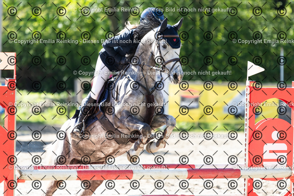 CL5A1677 | Emilia Reinking Fotografie - Realisiert mit Pictrs.com
