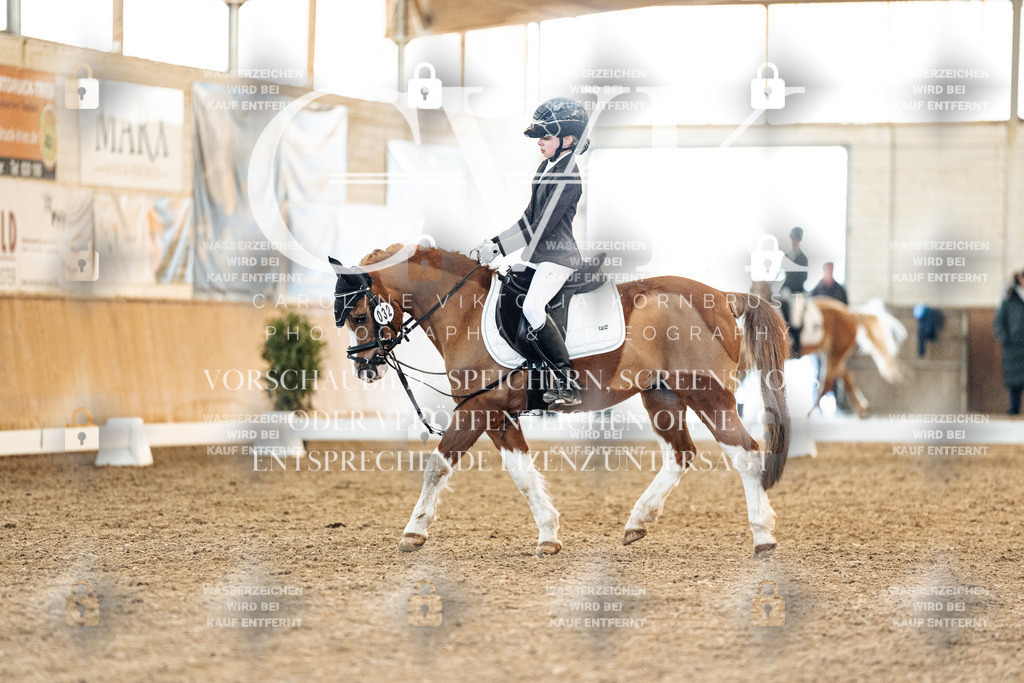 CK907330 | Turnierfotografie Pferdefotografie Trier Rheinland-Pfalz Pferdesport Reitsport Tierfotografie Sportfotografie Pferdevideo Pferdevideografie Equestrianvideography equestrianphotography  - Realisiert mit Pictrs.com