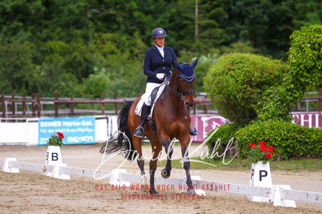 DKP47530 | Turniersportfotografie; Pferdefotografie; Dressurfotografie