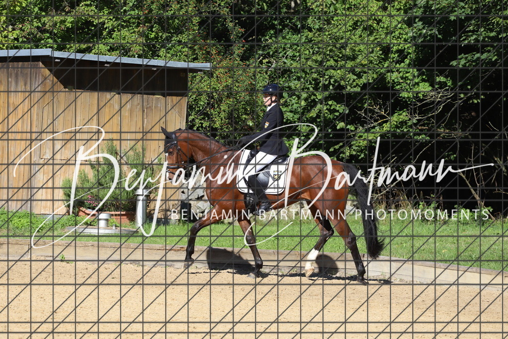 IMG_5419 | Benjamin Bartmann Photomoments