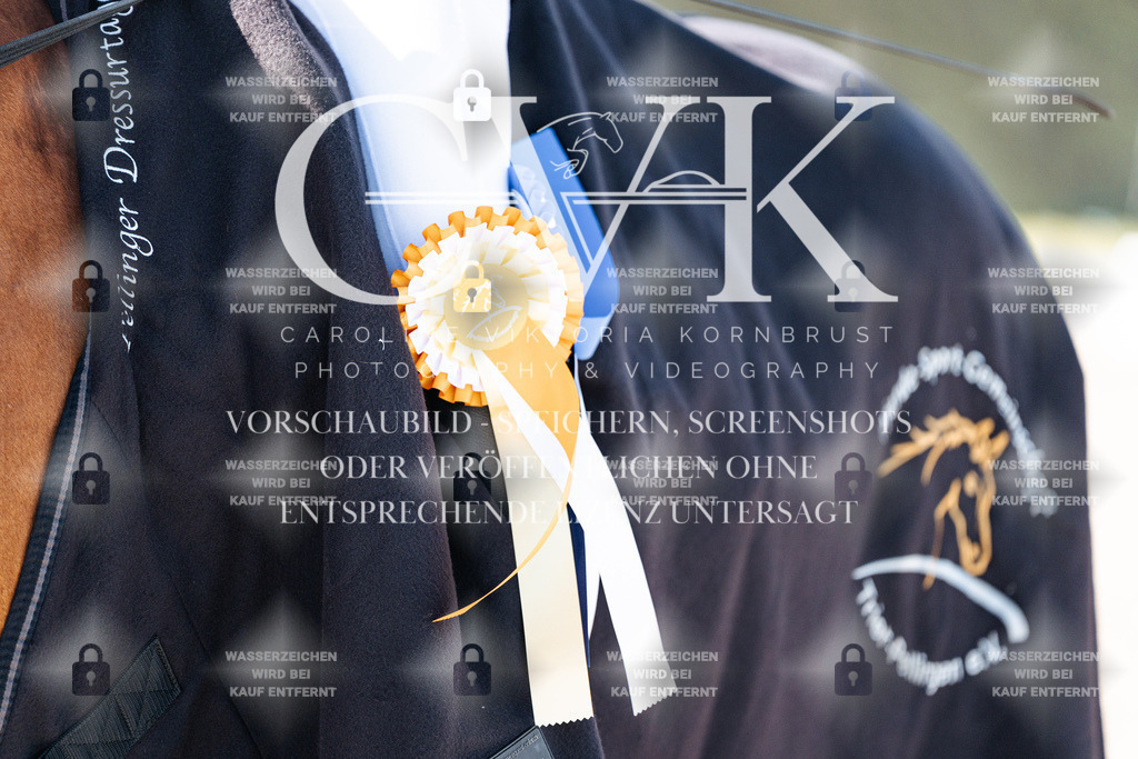 CK908451 | Turnierfotografie Pferdefotografie Trier Rheinland-Pfalz Pferdesport Reitsport Tierfotografie Sportfotografie Pferdevideo Pferdevideografie Equestrianvideography equestrianphotography  - Realisiert mit Pictrs.com