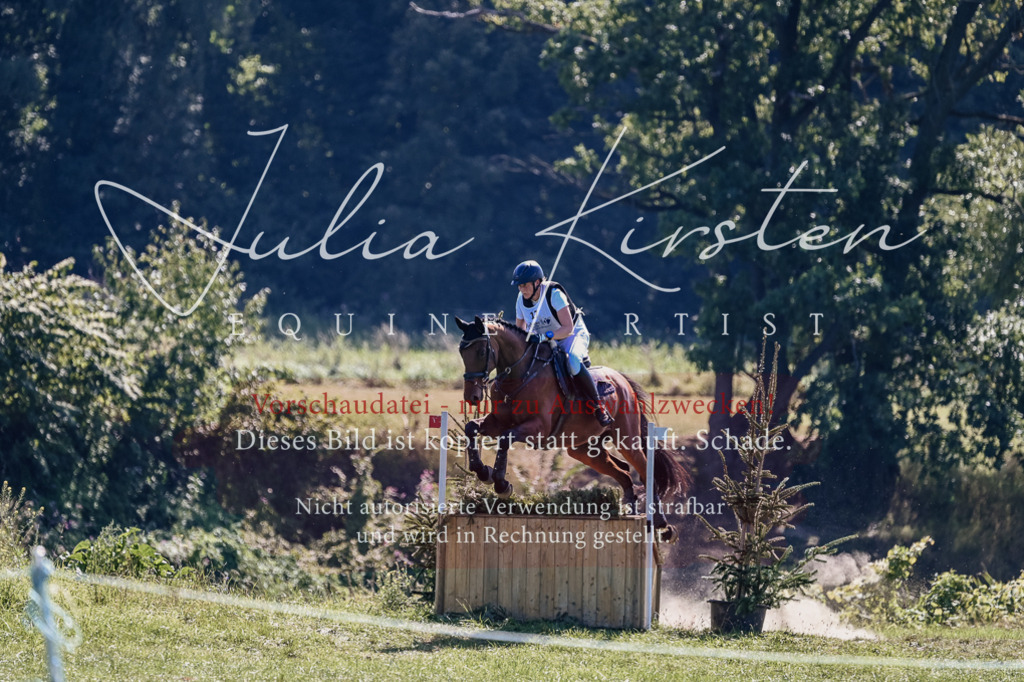 DSC_1970 | Pferde- und Turnierfotografie in Westsachsen. Pferdeportraits, Auftragszeichnungen und intuitive Kunst.