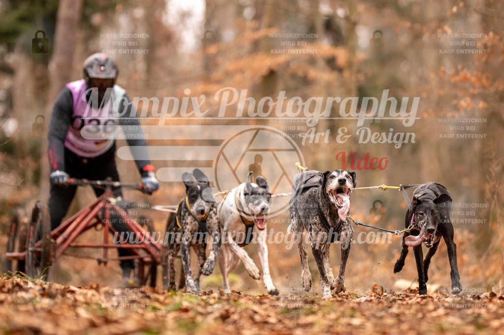 AKM_ST_2023_SAM_DR4-17 | PayLife