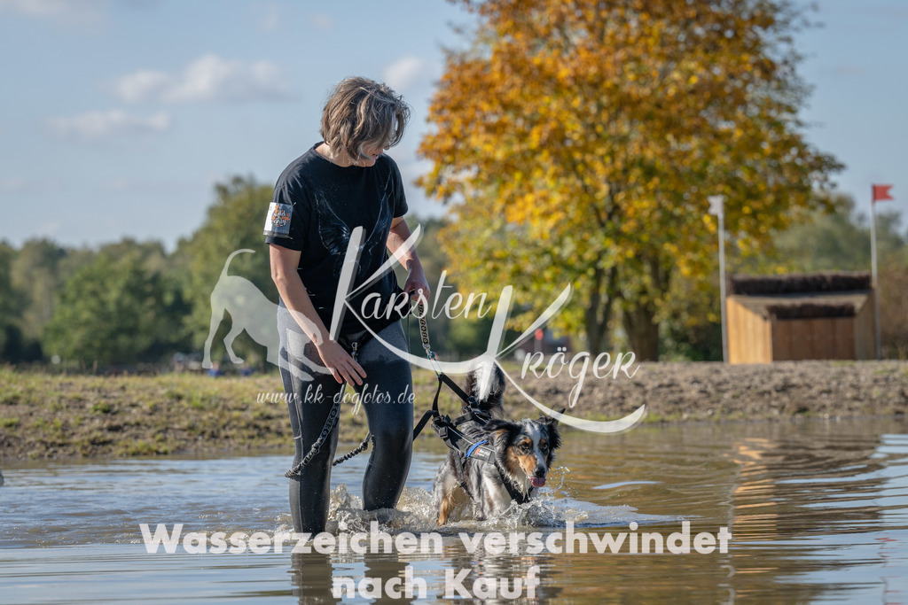 1337_ZZ91150 | kk-dogfotos