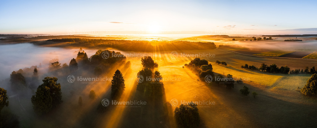 Ostalb bei Altheim im Nebel | löwenblicke | shop