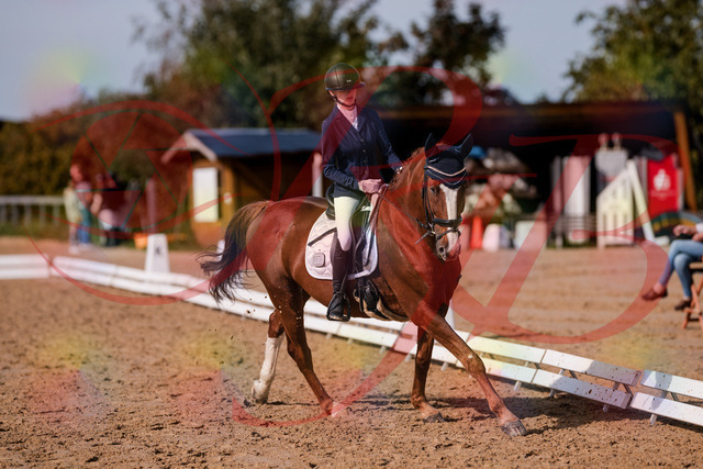 2026_10_03_Siefer-Hof_123801_Z81_34945635 | Professionelle Reitsport-, Turnier- und Eventfotografie von Robert Broda. Galerien mit ausgewählten und bearbeiteten Bildern direkt online ansehen und bestellen.