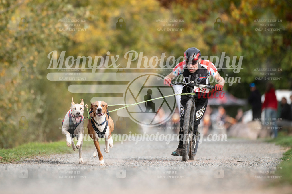 TSB_2023_E2_DS2-16 | PayLife