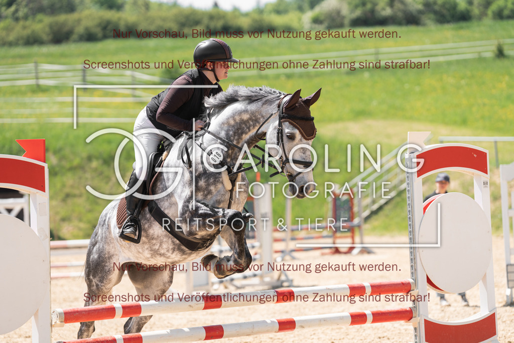 DSC04514 | Springturnier_Ehingen_Mai_2026, Emma_Kunz, Hicksteads_Catchy