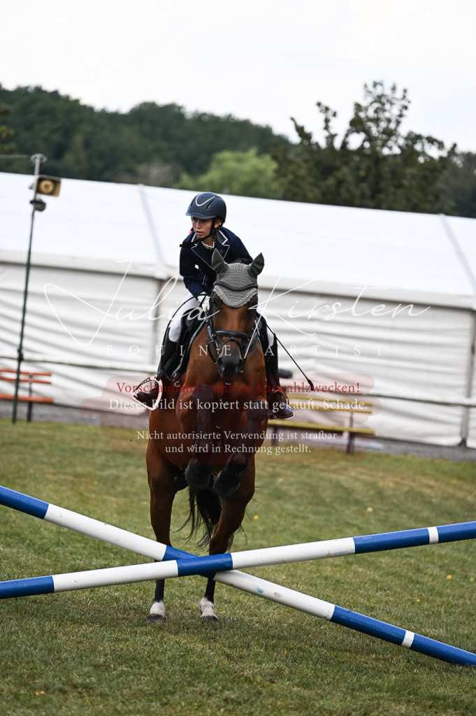 DSC_5683 | Pferde- und Turnierfotografie in Westsachsen. Pferdeportraits, Auftragszeichnungen und intuitive Kunst.