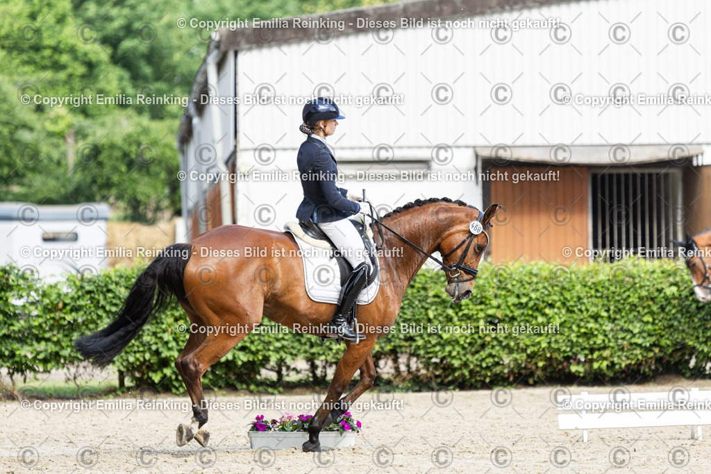 CL5A6264-2 | Emilia Reinking Fotografie - Realisiert mit Pictrs.com