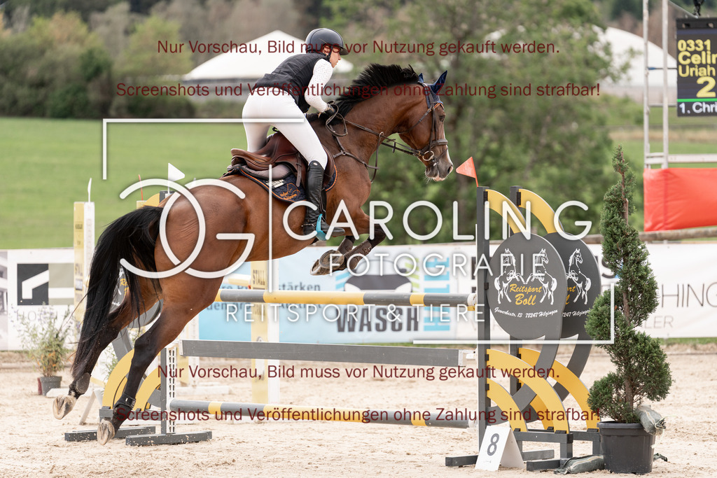 DSC06708 | Springturnier_Teamchallege_Talheim_2026, Celina_Heim, Uriah_5
