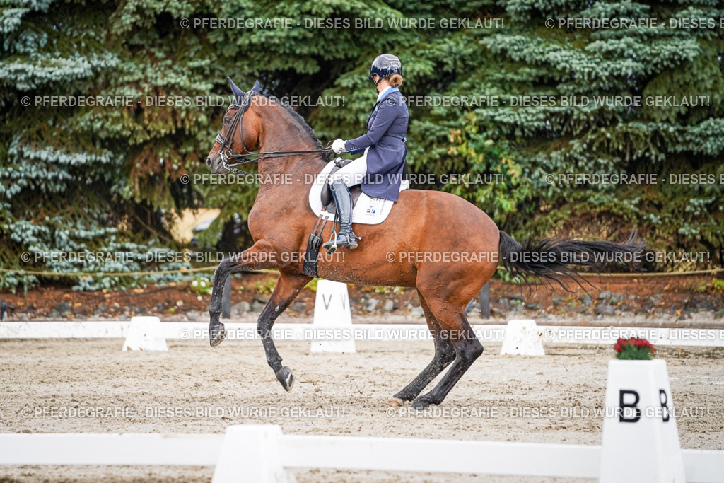 DSC00124 | Pferdegrafie