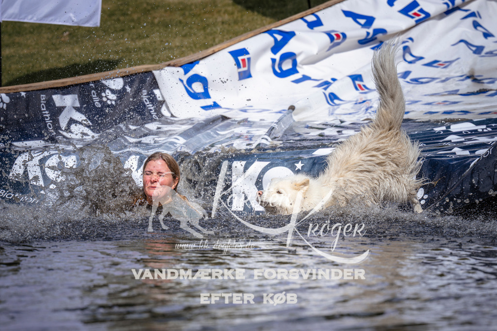 _ZZ922810925 | kk-dogfotos