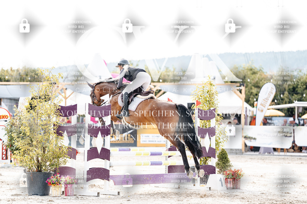 CK906749 | Turnierfotografie Pferdefotografie Trier Rheinland-Pfalz Pferdesport Reitsport Tierfotografie Sportfotografie Pferdevideo Pferdevideografie Equestrianvideography equestrianphotography  - Realisiert mit Pictrs.com
