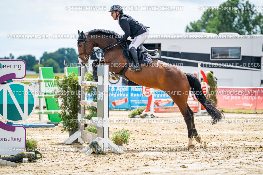 DSC05717 | Pferdegrafie