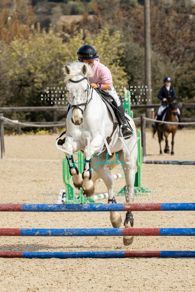 IMG_3335 | s-jay-photography - Realized with Pictrs.com