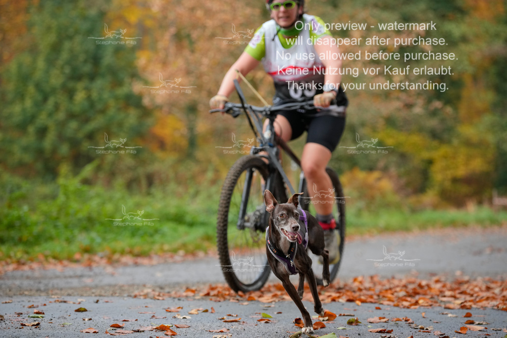 Bike_So-198 | stephaniefillaphotographie - Realisiert mit Pictrs.com