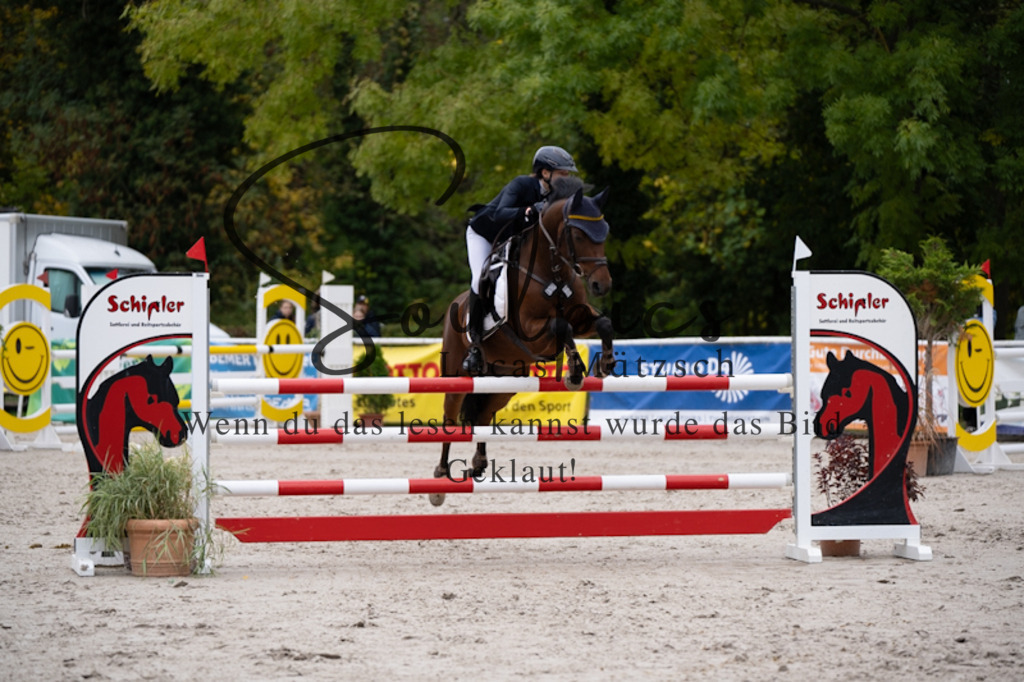 A7V09180 | Pferdefotograf