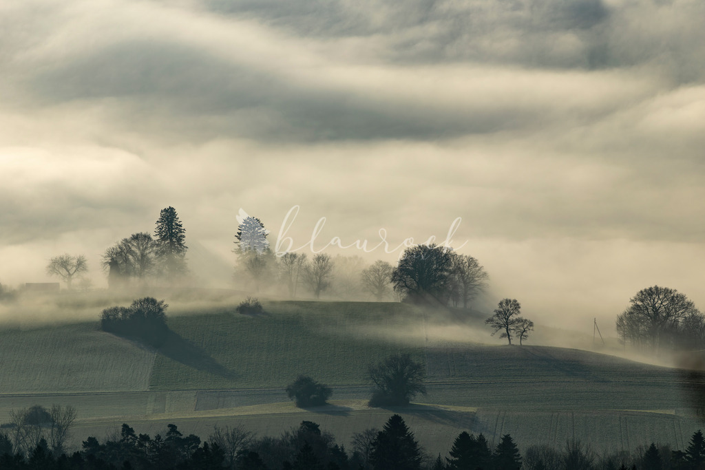 701A5622-Verbessert-RR | Sportbilder, Sportfotograf, Hochzeits- und Eventfotografin, Flugshows, Portraits und Tiershooting, Aviation, Downhill, Nationalleague, Swissleague, International