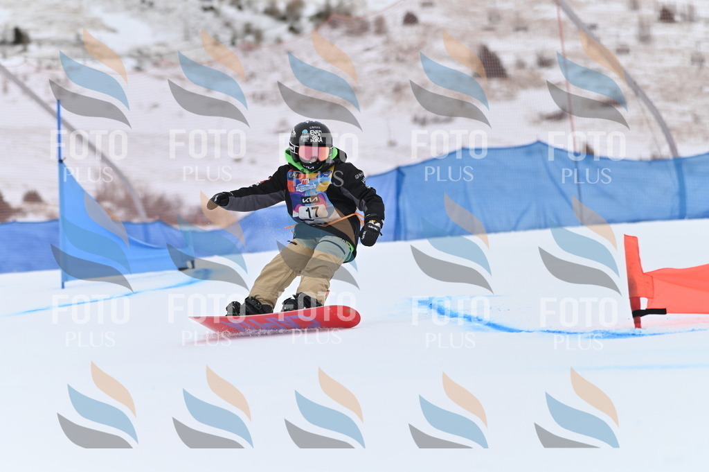 BGV_4537 | holidayphoto