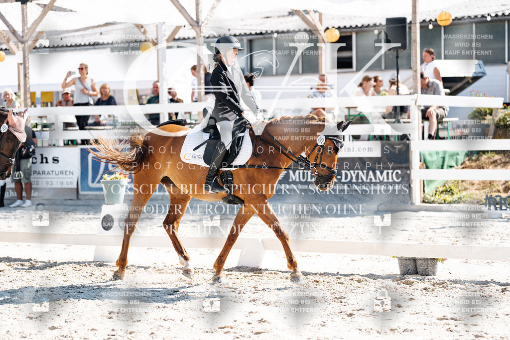 CK902964 | Turnierfotografie Pferdefotografie Trier Rheinland-Pfalz Pferdesport Reitsport Tierfotografie Sportfotografie Pferdevideo Pferdevideografie Equestrianvideography equestrianphotography  - Realisiert mit Pictrs.com