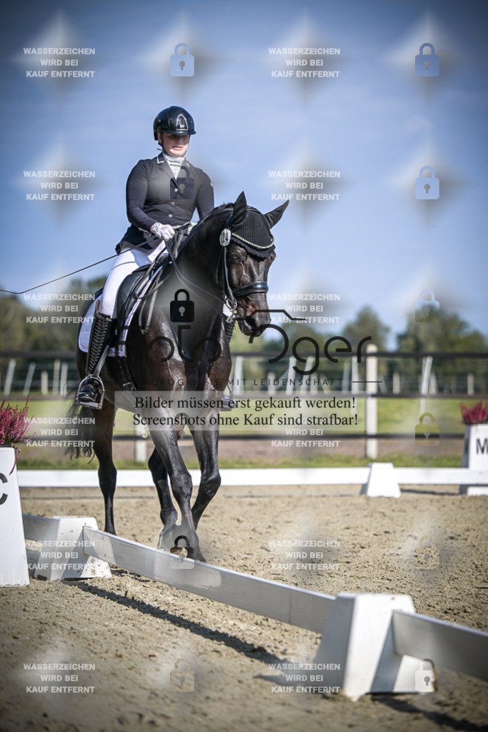 DOS_1401 | Entdecke hochwertige Reitturnierfotos von Foto Oger. Professionell, emotional und authentisch – jetzt Lieblingsmomente im Shop bestellen.Deutschlandweite Turnierfotografie. - Realisiert mit Pictrs.com