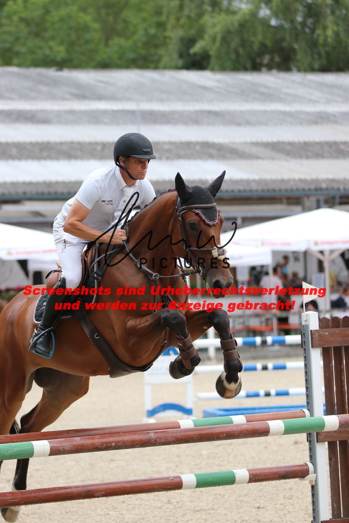 IMG_7702 | lmwpictures - Realisiert mit Pictrs.com