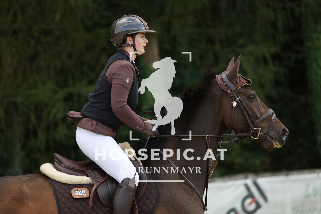 0P6A3406 | Willkommen bei Brunnmayr - Design & Fotografie – Ihrem Spezialisten für Reitturniere und Pferdeveranstaltungen in Oberösterreich, Salzburg und Bayern! Seit über 17 Jahren sind wir leidenschaftlich dabei.