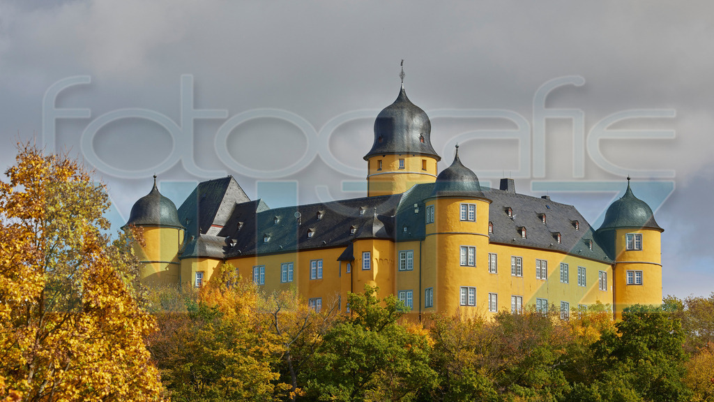 2022-10-16 13-39-28__5_27815 Kopie | Nitz Fotografie aus Montabaur bietet Ihnen hier die Möglichkeit Bilder auszusuchen und zu bestellen. 