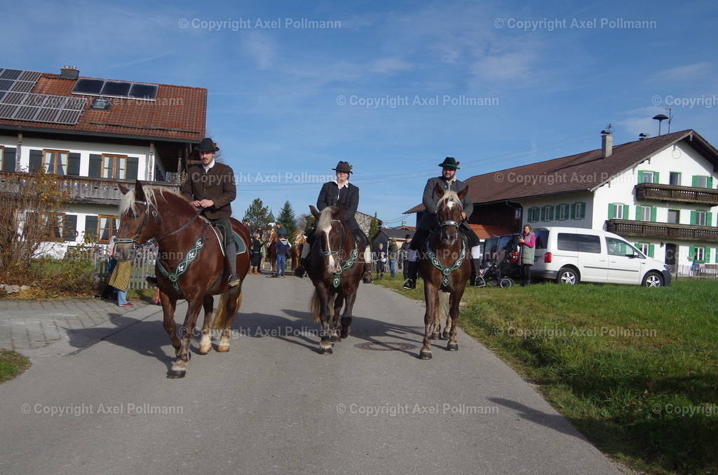 IMGP1617 | fotografiert von Axel PollmannLeonhardi Wallfahrt Benediktbeuern und Murnau, Fronleichnam, Fasching, Landschaft im Loisachtal und Benediktbeuern  - Realisiert mit Pictrs.com
